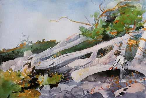 Guia escondendo uma canoa (Winslow Homer) - Reprodução com Qualidade Museu
