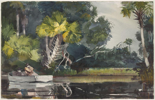 Selva Homasassa (Winslow Homer) - Reprodução com Qualidade Museu