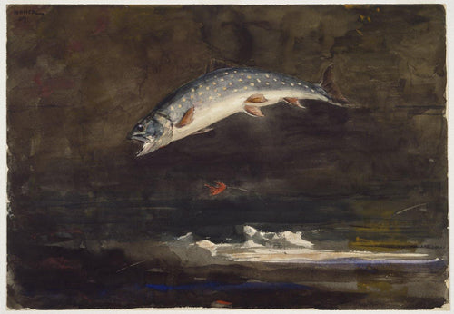 Truta saltitante (Winslow Homer) - Reprodução com Qualidade Museu