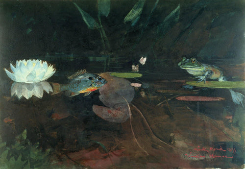Mink Pond (Winslow Homer) - Reprodução com Qualidade Museu