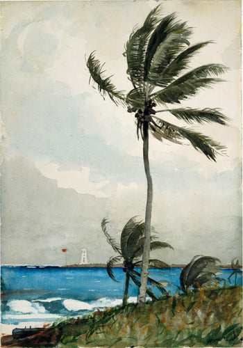 Palmeira, Nassau (Winslow Homer) - Reprodução com Qualidade Museu