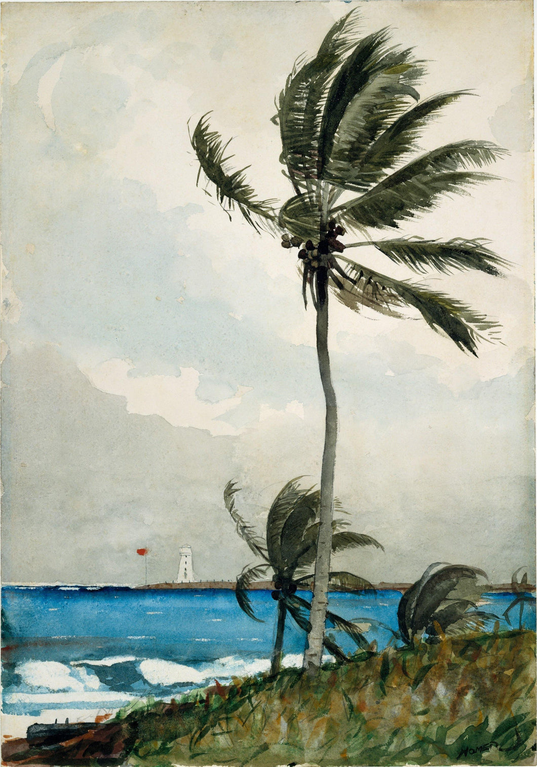 Palmeira, Nassau (Winslow Homer) - Reprodução com Qualidade Museu