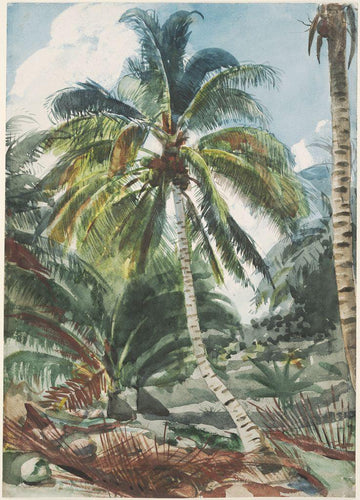 Palmeiras, Bahamas (Winslow Homer) - Reprodução com Qualidade Museu