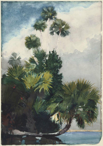 Palmeiras, Flórida (Winslow Homer) - Reprodução com Qualidade Museu