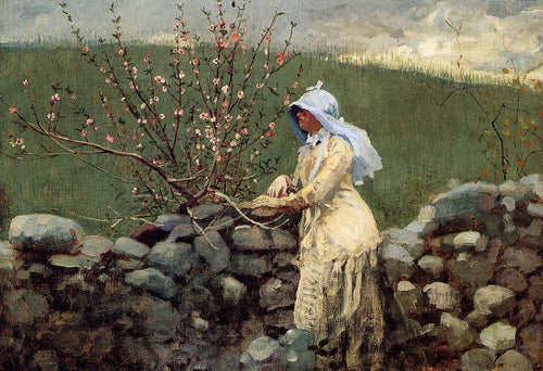 Flores de pessegueiro (Winslow Homer) - Reprodução com Qualidade Museu