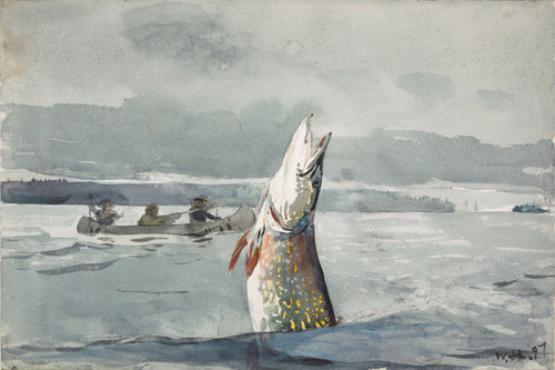 Pike, Lago St. John (Winslow Homer) - Reprodução com Qualidade Museu