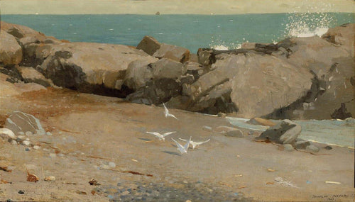 Costa Rochosa e Gaivotas (Winslow Homer) - Reprodução com Qualidade Museu