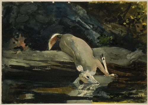 Veado caído (Winslow Homer) - Reprodução com Qualidade Museu