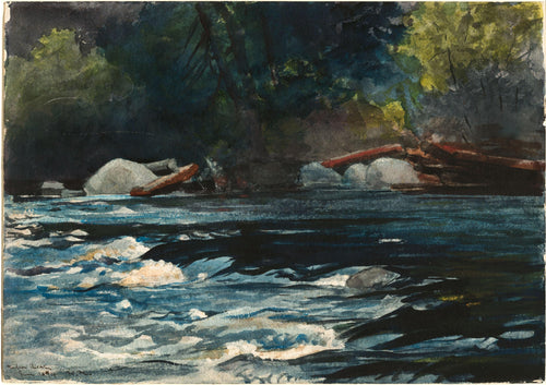 The Rapids, Husdon River, Adirondacks (Winslow Homer) - Reprodução com Qualidade Museu