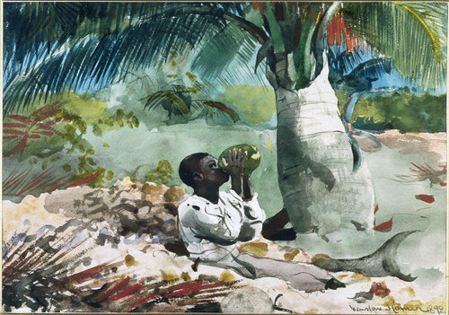 Under The Coco Palm (Winslow Homer) - Reprodução com Qualidade Museu