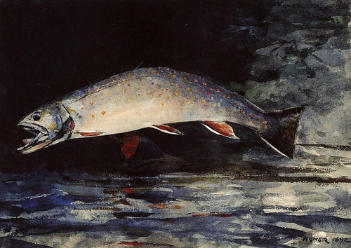 Uma truta de ribeiro (Winslow Homer) - Reprodução com Qualidade Museu