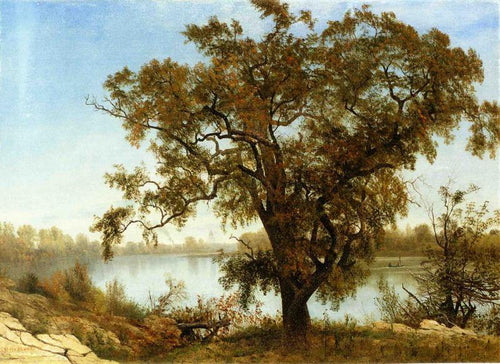 Uma vista de Sacramento (Albert Bierstadt) - Reprodução com Qualidade Museu