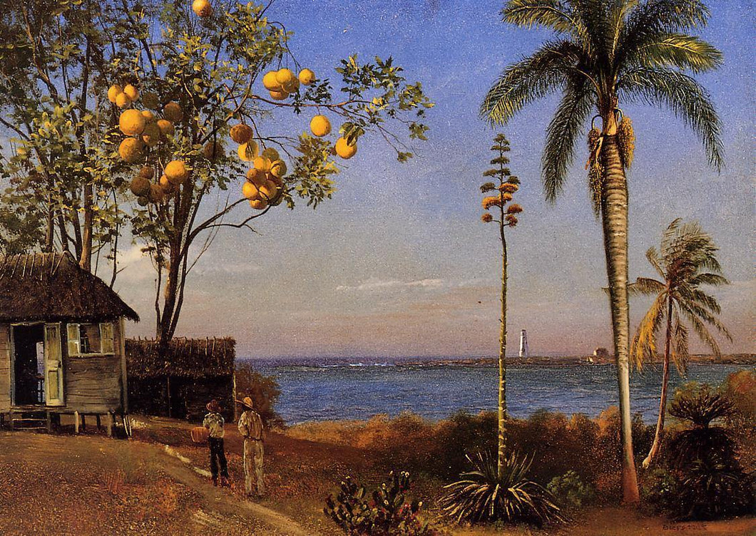 Uma vista nas Bahamas (Albert Bierstadt) - Reprodução com Qualidade Museu