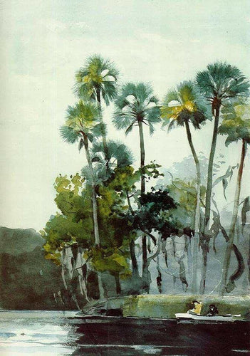 Rio Homosassa (Winslow Homer) - Reprodução com Qualidade Museu