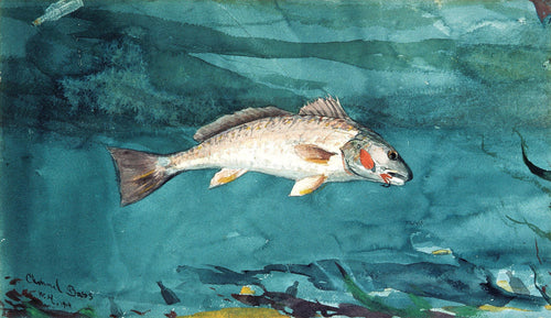 Channel Bass (Winslow Homer) - Reprodução com Qualidade Museu