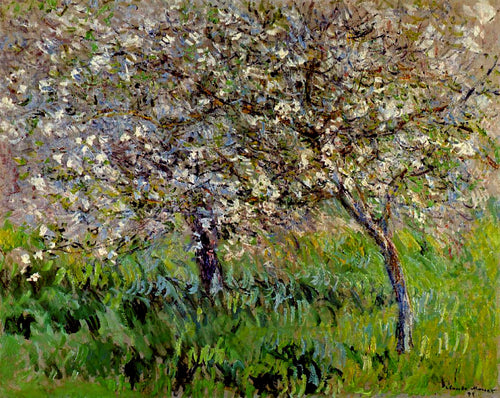 Macieiras em flor em Giverny (Claude Monet) - Reprodução com Qualidade Museu