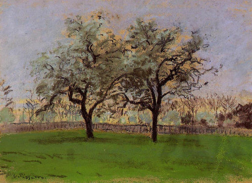 Árvores de maçãs em Pontoise (Camille Pissarro) - Reprodução com Qualidade Museu