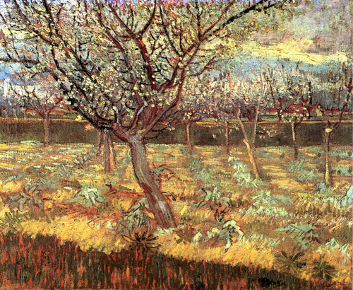 Árvores de damasco em flor (Vincent Van Gogh) - Reprodução com Qualidade Museu