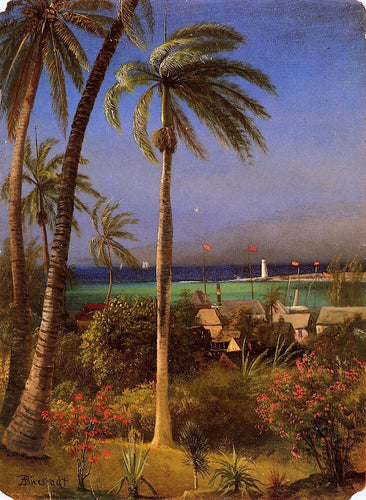 Vista das Bahamas (Albert Bierstadt) - Reprodução com Qualidade Museu