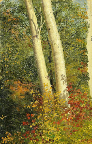 Árvores de vidoeiro no outono (Frederic Edwin Church) - Reprodução com Qualidade Museu
