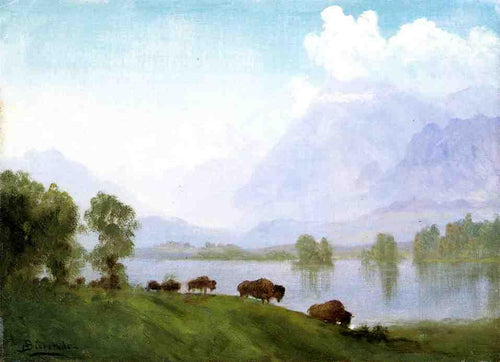 Buffalo Country (Albert Bierstadt) - Reprodução com Qualidade Museu