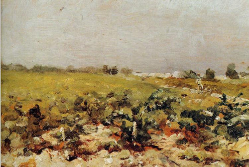 Vista das vinhas (Henri de Toulouse-Lautrec) - Reprodução com Qualidade Museu