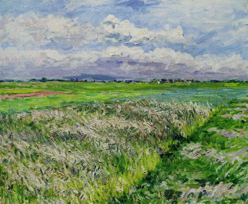 Fields, Plaine De Gennevilliers, estudo em amarelo e verde (Gustave Caillebotte) - Reprodução com Qualidade Museu