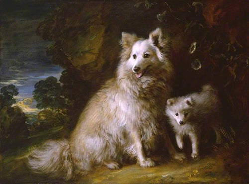 Pomeranian cadela e cachorrinho