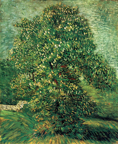 Castanheiro em flor (Vincent Van Gogh) - Reprodução com Qualidade Museu