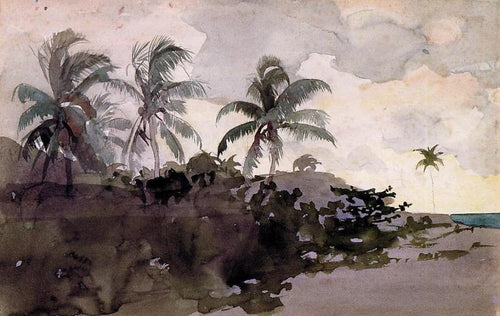 Coqueiros (Winslow Homer) - Reprodução com Qualidade Museu