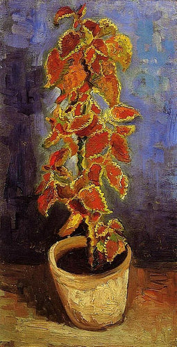 Planta Coleus em um vaso de flores (Vincent Van Gogh) - Reprodução com Qualidade Museu