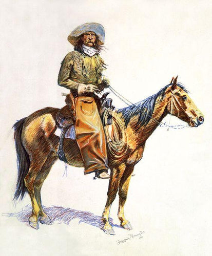 Arizona Cowboy