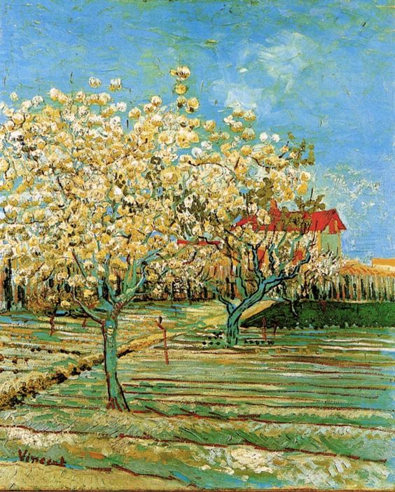Pomar Florido (Vincent Van Gogh) - Reprodução com Qualidade Museu