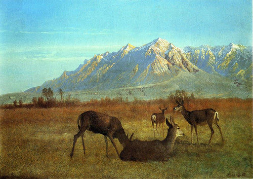Veado em uma casa na montanha (Albert Bierstadt) - Reprodução com Qualidade Museu
