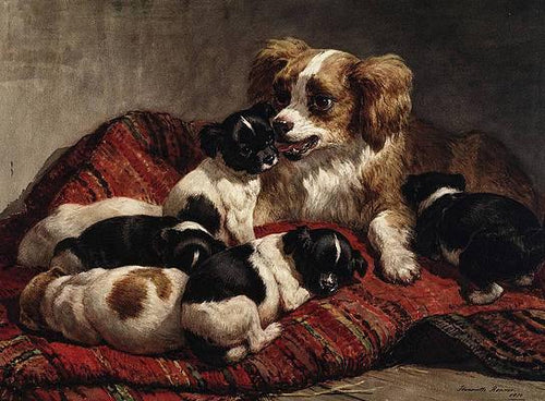 Cachorro Com Filhotes (Henriette Ronner-Knip) - Reprodução com Qualidade Museu