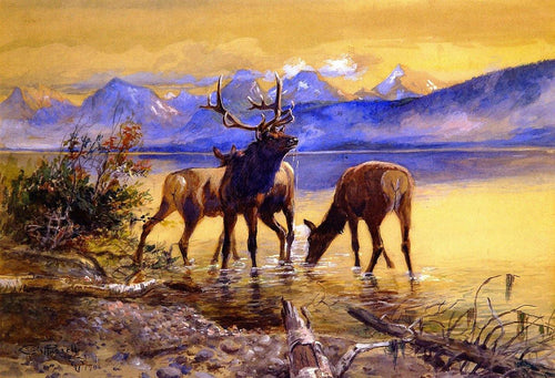 Elk In Lake McDonald - Replicarte