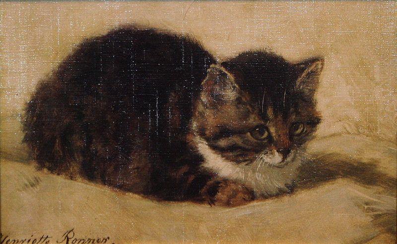 Gato (Henriette Ronner-Knip) - Reprodução com Qualidade Museu