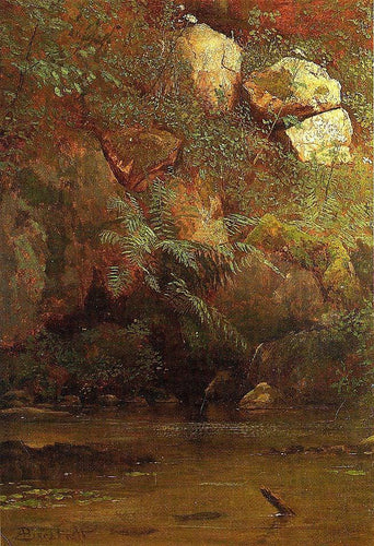 Samambaias e pedras em um dique (Albert Bierstadt) - Reprodução com Qualidade Museu