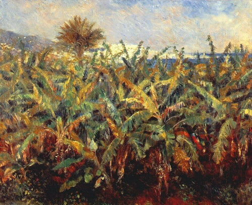 Campo De Bananeiras (Pierre-Auguste Renoir) - Reprodução com Qualidade Museu