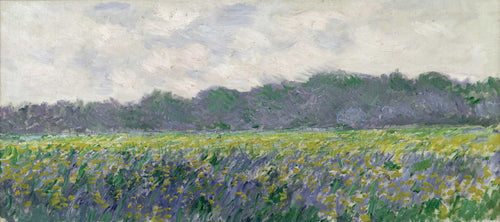 Campo de íris amarelas em Giverny (Claude Monet) - Reprodução com Qualidade Museu