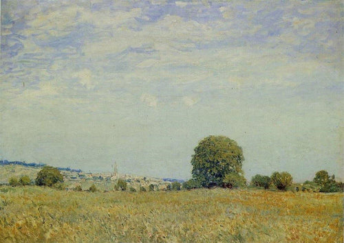 Campos em Saint Cloud (Alfred Sisley) - Reprodução com Qualidade Museu