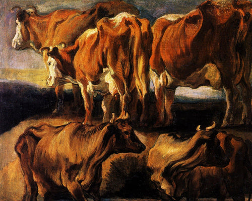 Cinco estudos de vacas