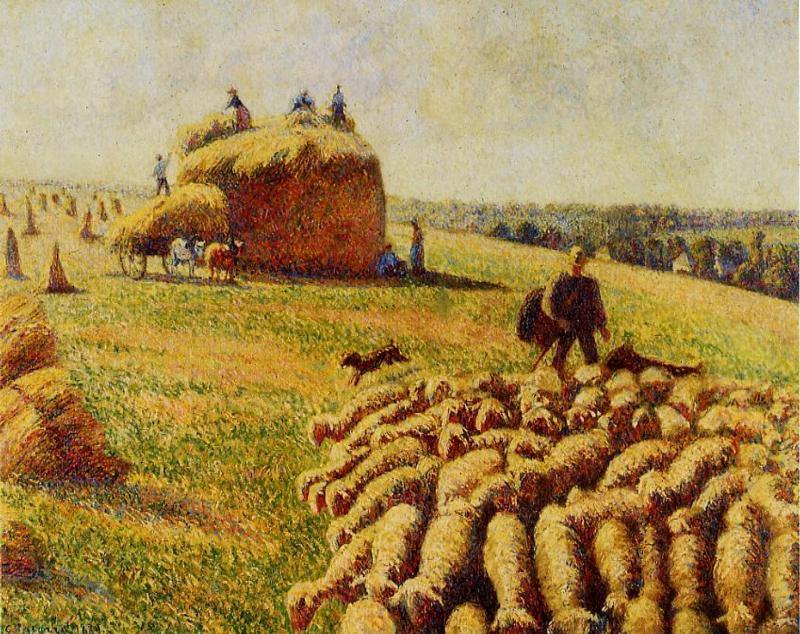 Rebanho de ovelhas em um campo após a colheita (Camille Pissarro) - Reprodução com Qualidade Museu