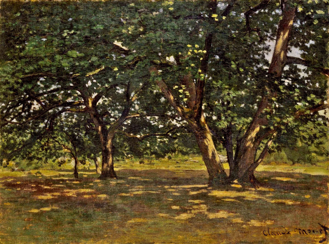 Floresta de Fontainebleau (Claude Monet) - Reprodução com Qualidade Museu