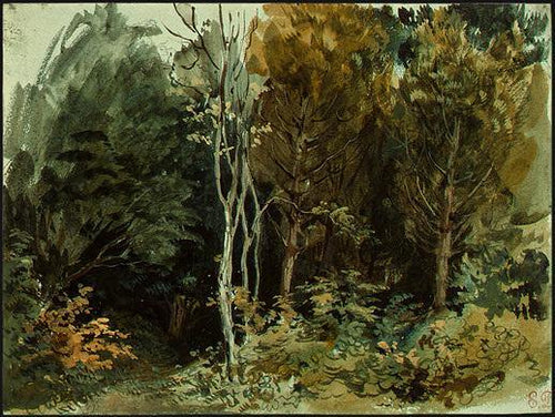 The Edge Of A Wood em Nohant (Eugene Delacroix) - Reprodução com Qualidade Museu