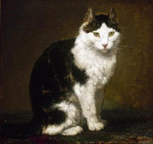 Um gato preto e branco (Henriette Ronner-Knip) - Reprodução com Qualidade Museu