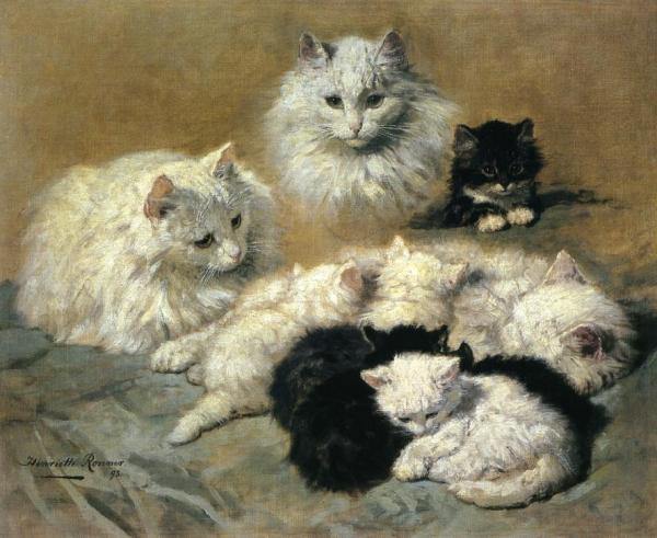 Gatos e gatinhos (Henriette Ronner-Knip) - Reprodução com Qualidade Museu