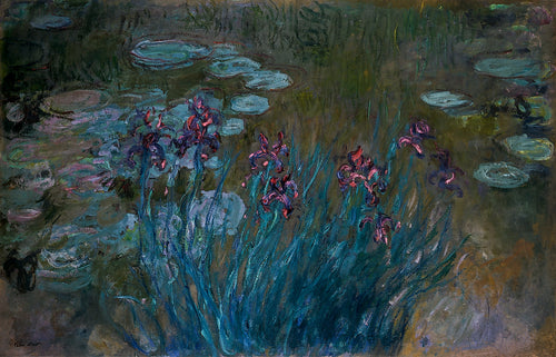 Íris e nenúfares (Claude Monet) - Reprodução com Qualidade Museu