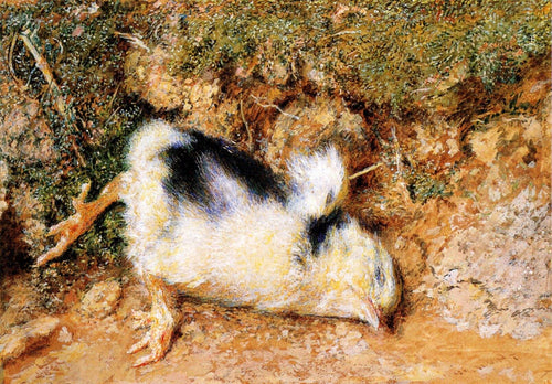 John Ruskins Dead Chick