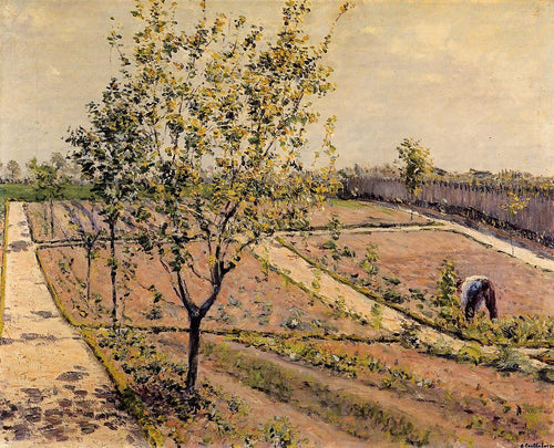 Horta, Petit Gennevilliers (Gustave Caillebotte) - Reprodução com Qualidade Museu